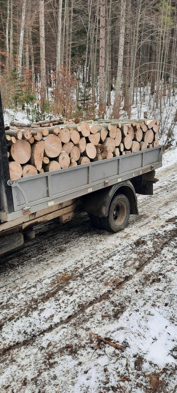 Lemne pentru foc