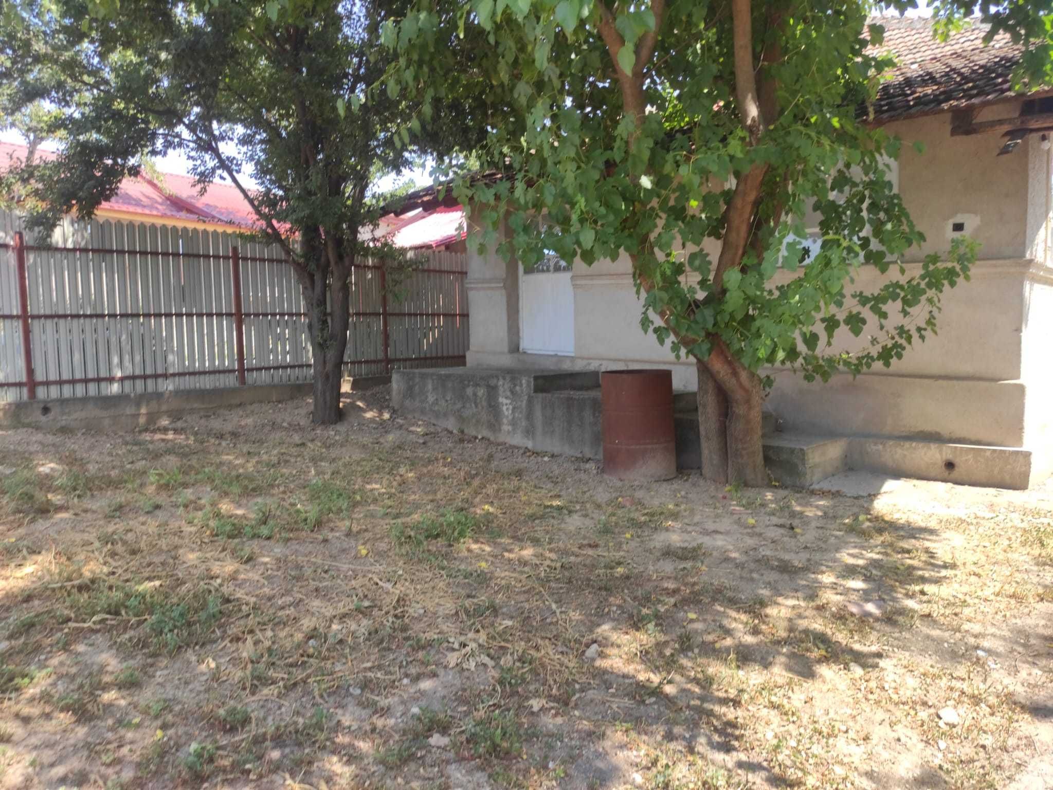 Casă + teren 3600m2 de vânzare în Plătărești, jud. Călărași