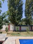 Топаля самовывоз бесплатно весь мусор сабой
