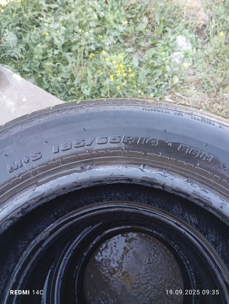 Автошина арзони 14/65/185
