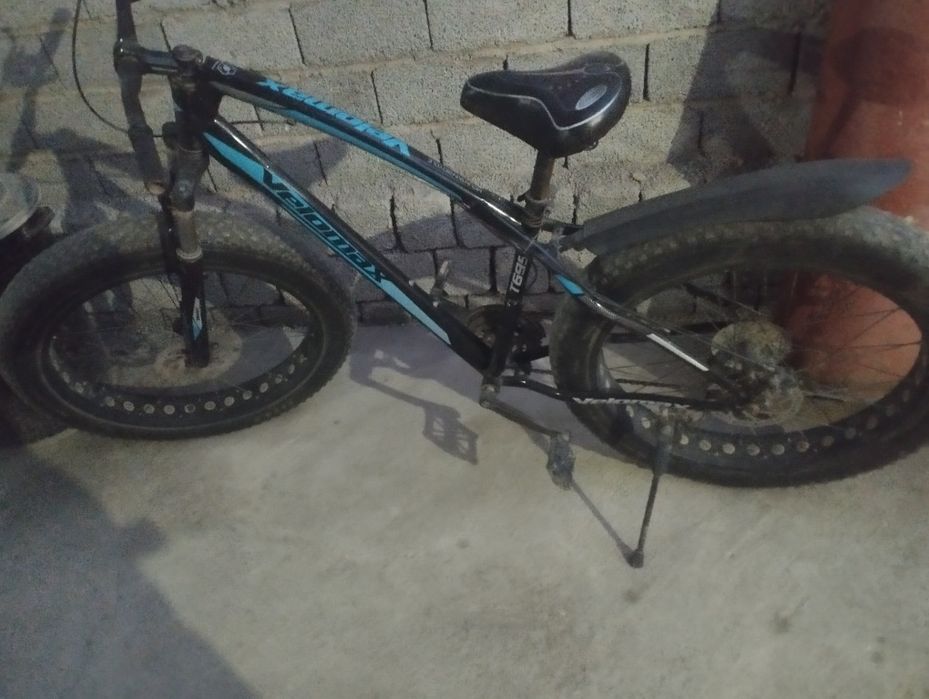 Veli sotiladi narxi arzon