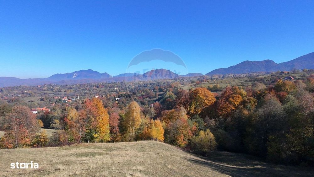 Teren 2,500mp Bran / Strada Bradul Inalt