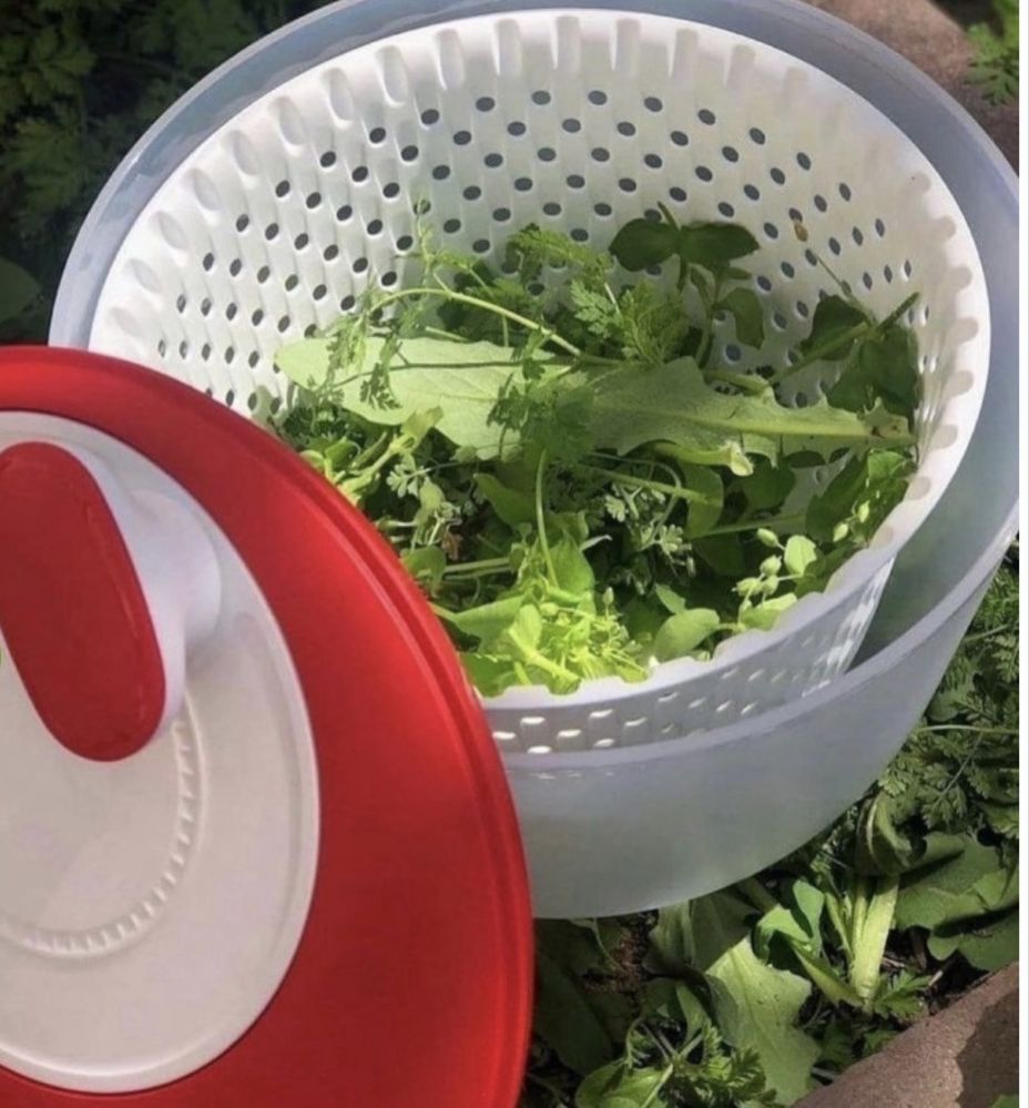 Tupperware контейнер РП14171 1 шт, полипропилен