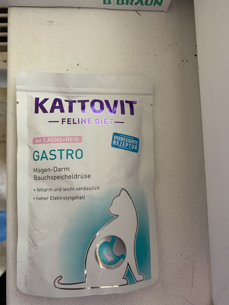 Hrana umeda pentru pisici cu probleme gastro-intestinale