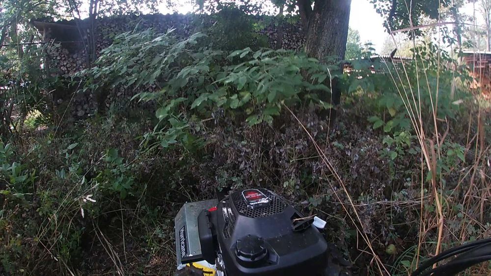 Curatare cosire defrisare gradina teren  cosit iarba tocare arbusti