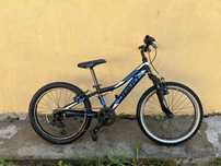 Drag hardy jr 20