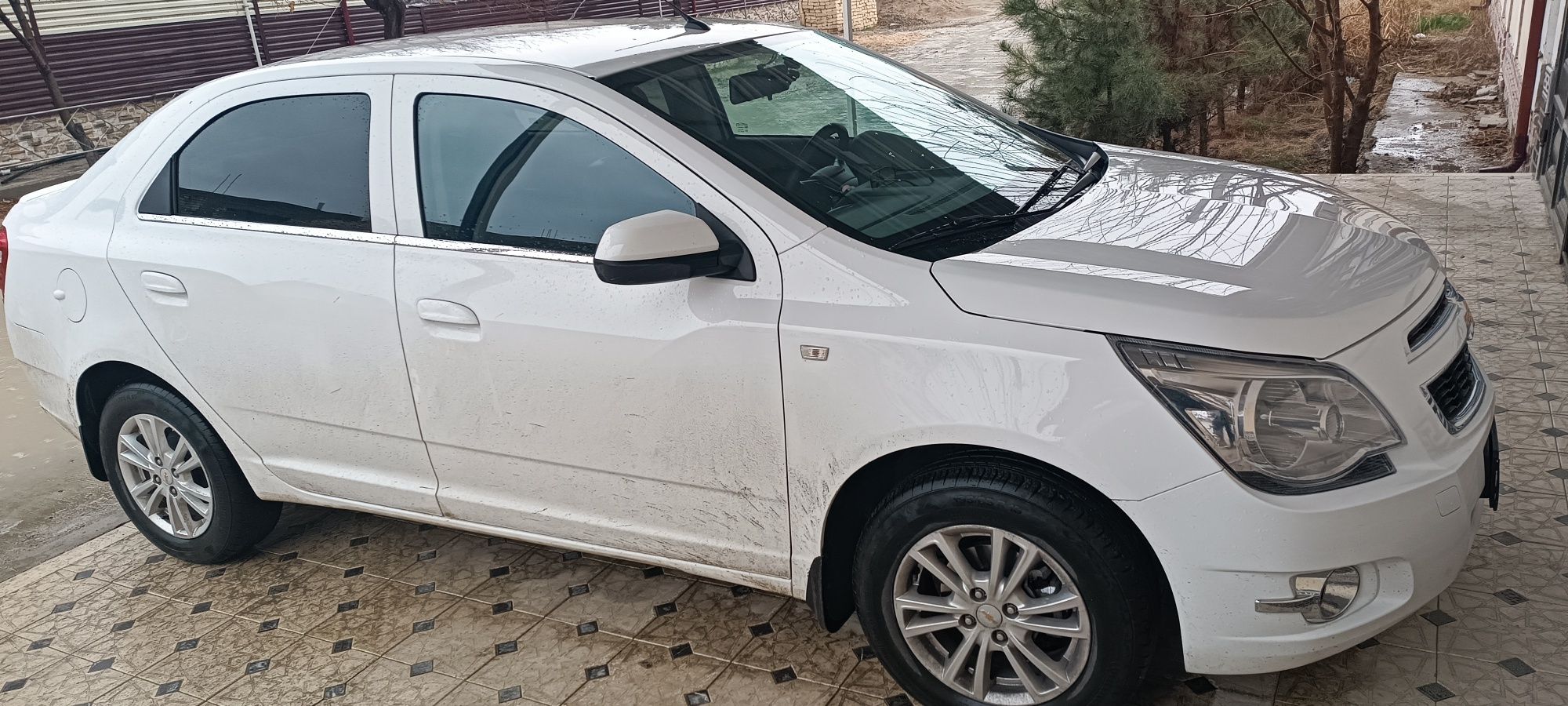 Cobalt АТ Style plus 2023/2024