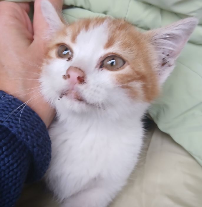 Младеж си търси дом