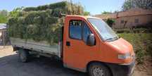 Citroen jumper 2002
