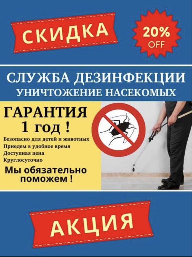 Дезинфекция против насекомых от клопы