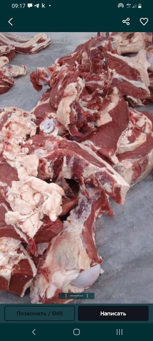 Қашар еті сатылады