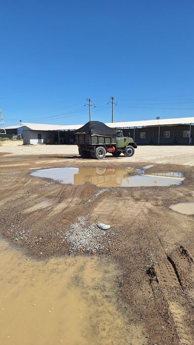Zil xizmati  musur obketamizqum klenes shebin shaĝal poyma sariq turpo