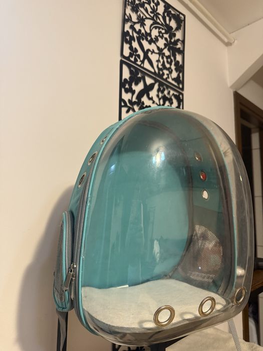 Ghiozdan transport animale