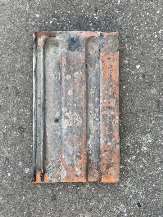 Vand ciripa 1000 de bucati