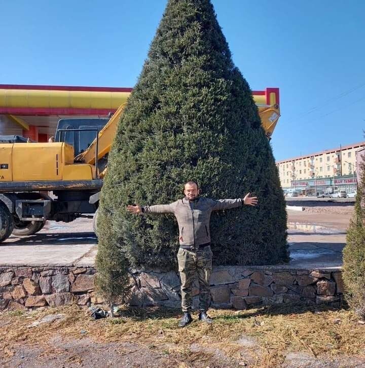 Арча ва живой забор кесиш хизматлари бор