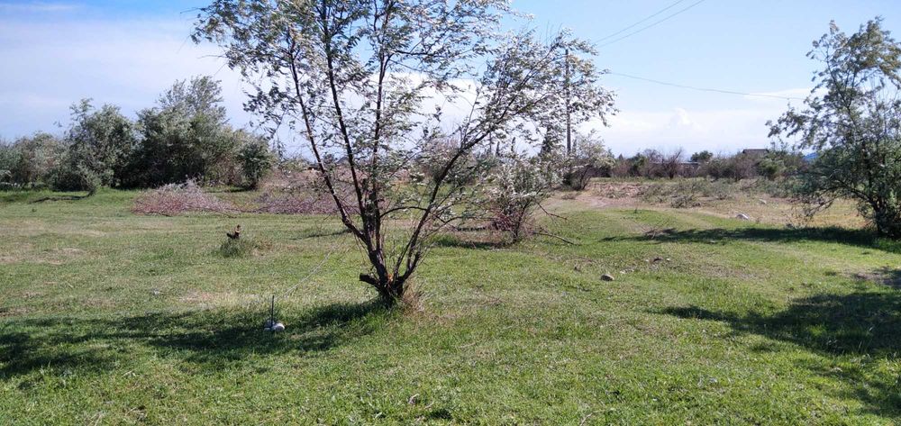 Участок 12 соток Қызылшарық