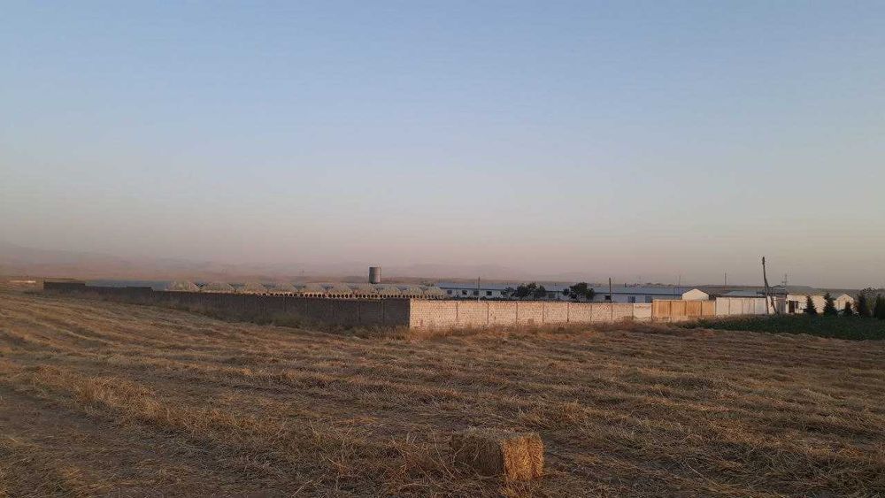 Теплица, паррандачилик, корамол Фермаси (птицеферма, иссикхона, чорва)