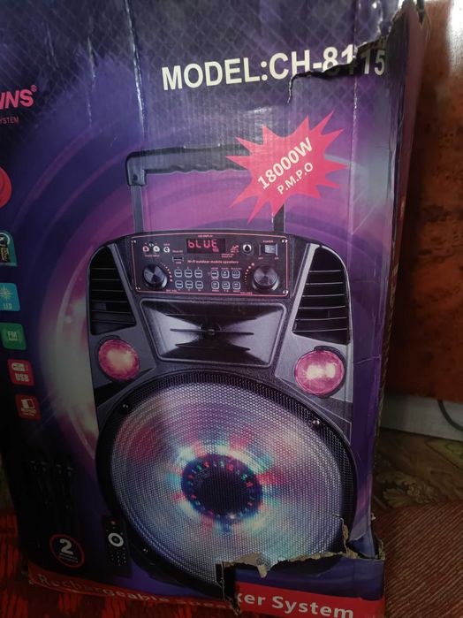 Колонка аккумуляторная 15 дюймовый