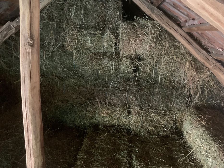 Vând Baloți de Lucernă