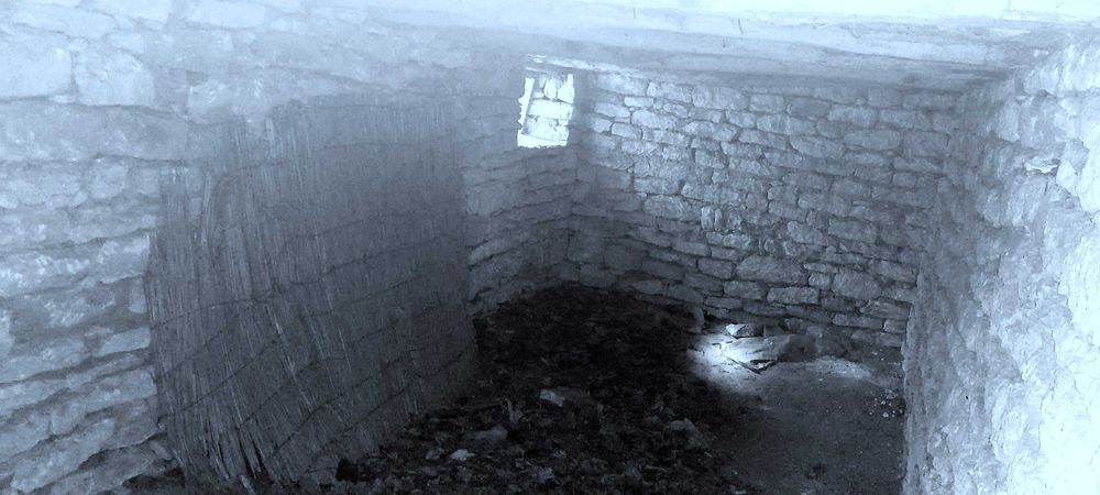 Продава се Къща в с. Пчеларово, Област Добрич - 90 кв.м за 62 €/кв.м - Снимка #4