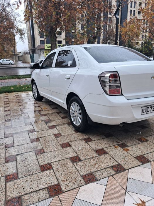 Pazitsiya 2 yili 2018