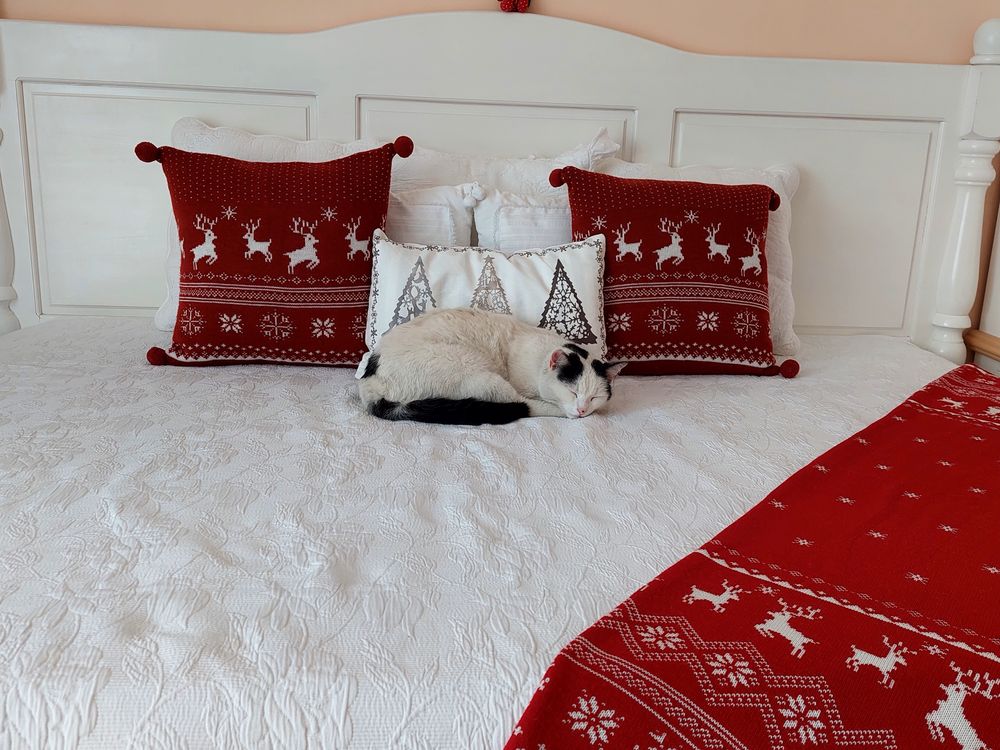 Servicii de pet sitting/cazare pentru diverse animale