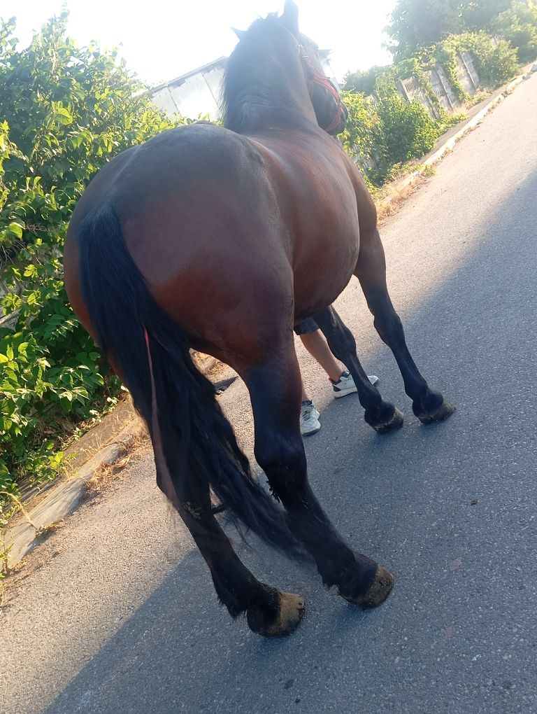 La schimb iapa de 7 ani cu ACTE