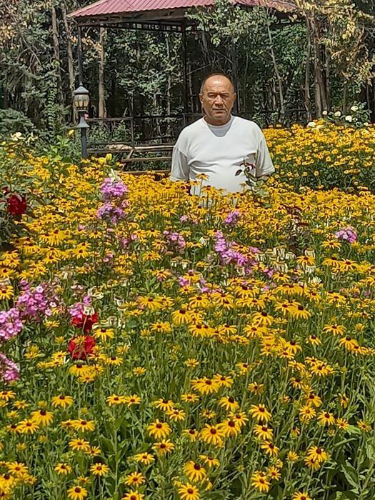 Комерциялык гимараттарга Апз талон