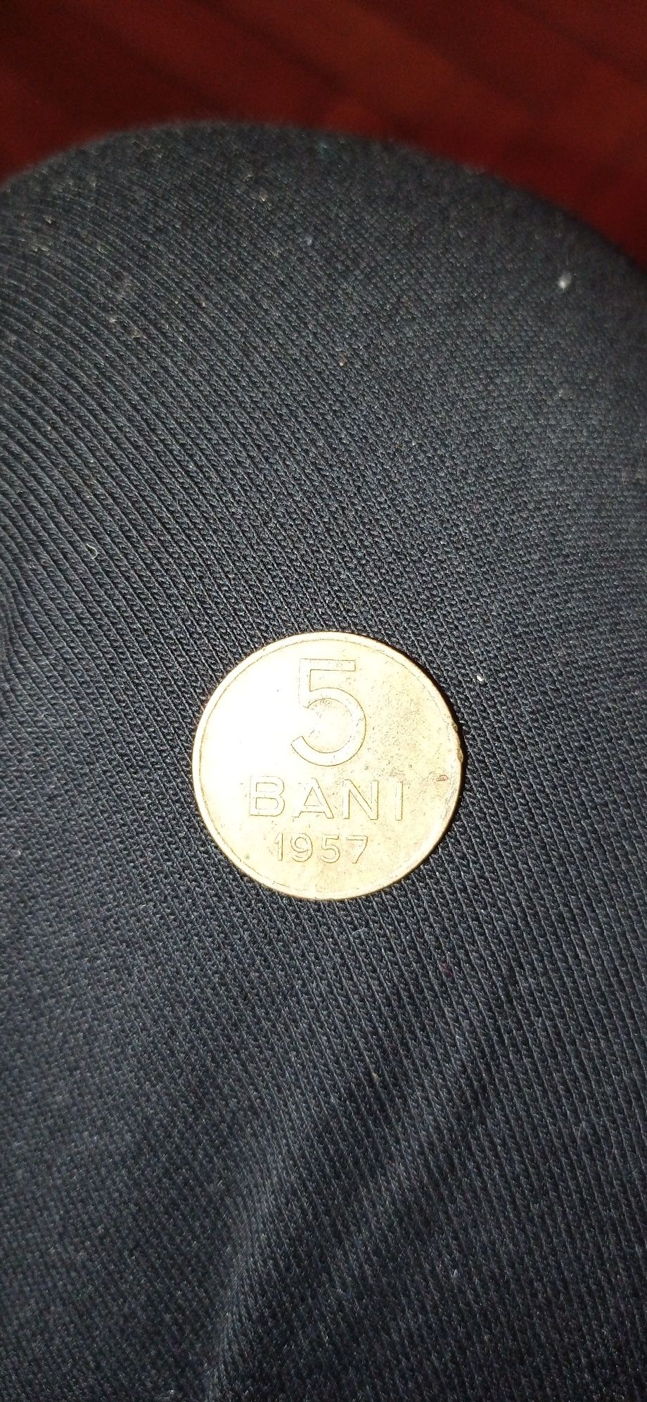 Monedă de 5 Lei veche, monedă 5 bani