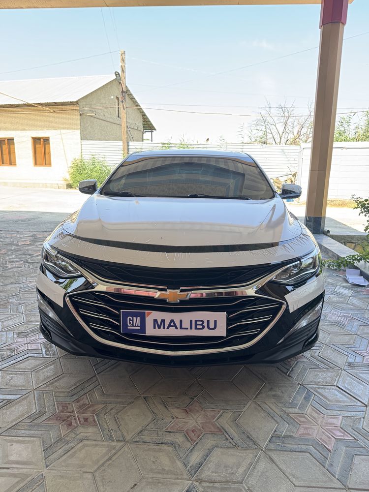 Malibu malibu premer 2022