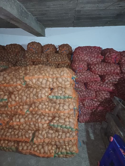 Vând cartofi albi și rosi de consum
