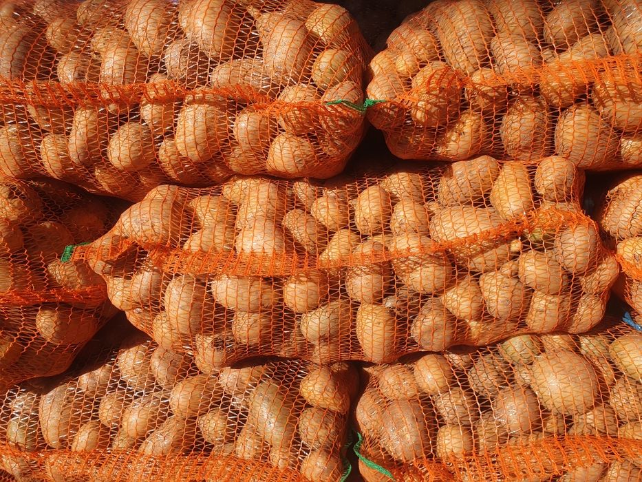 Cartofi consum Carrera, ambalat astazi 12 noiembrie