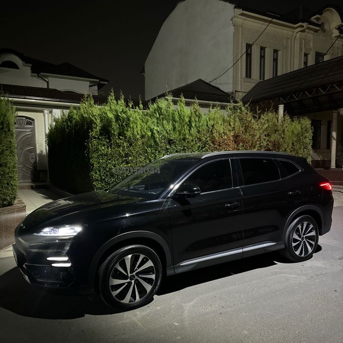 Byd champion 2024 Honor,full chempion,chempion,чемпион,сонг плюс,bivay