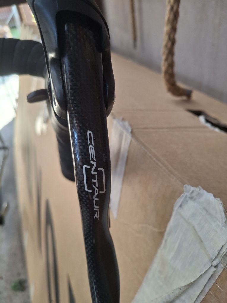 Cursiera wilier triestina
