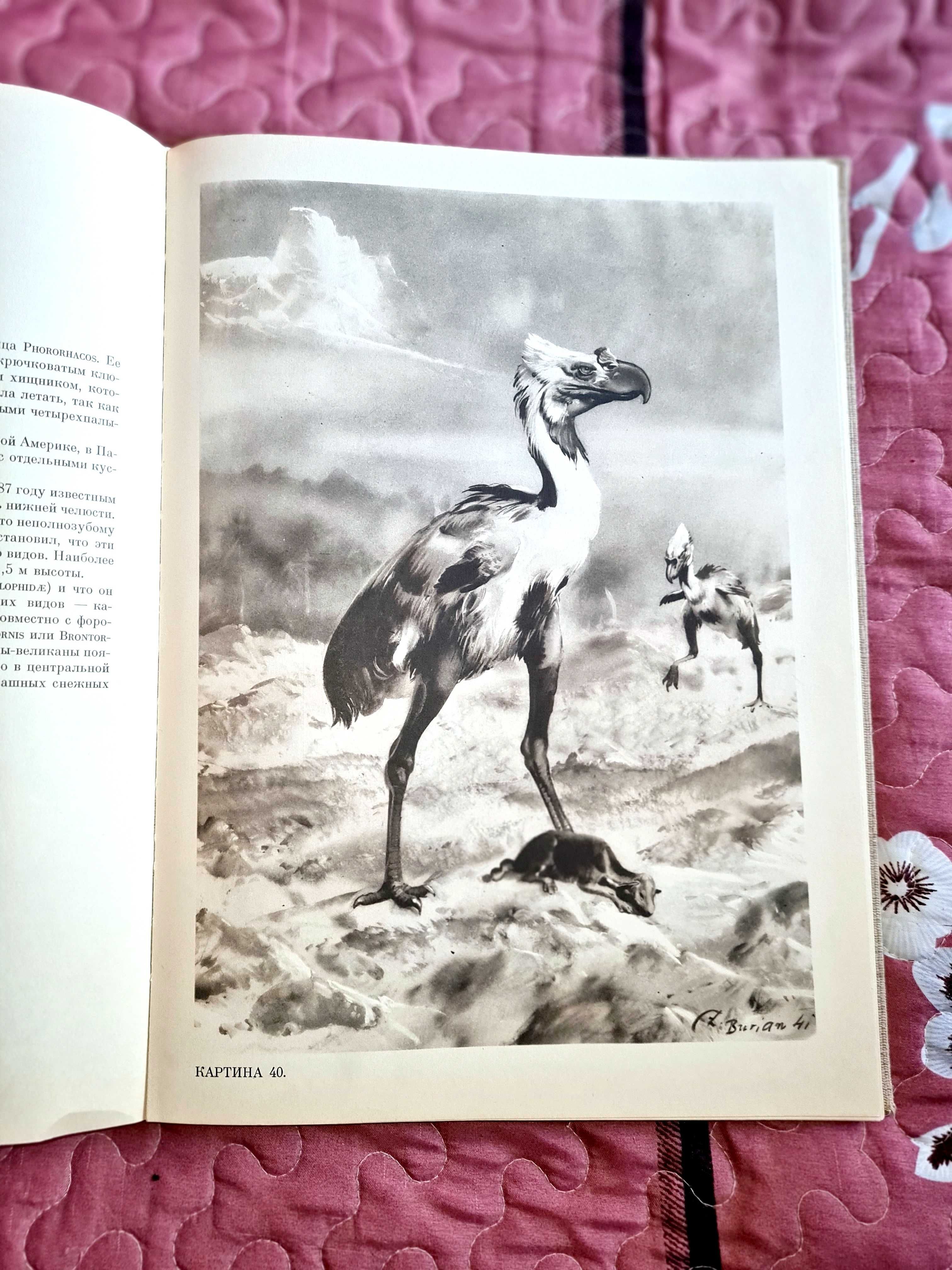 Продам старую книгу 1963 года о животном мире древности.
