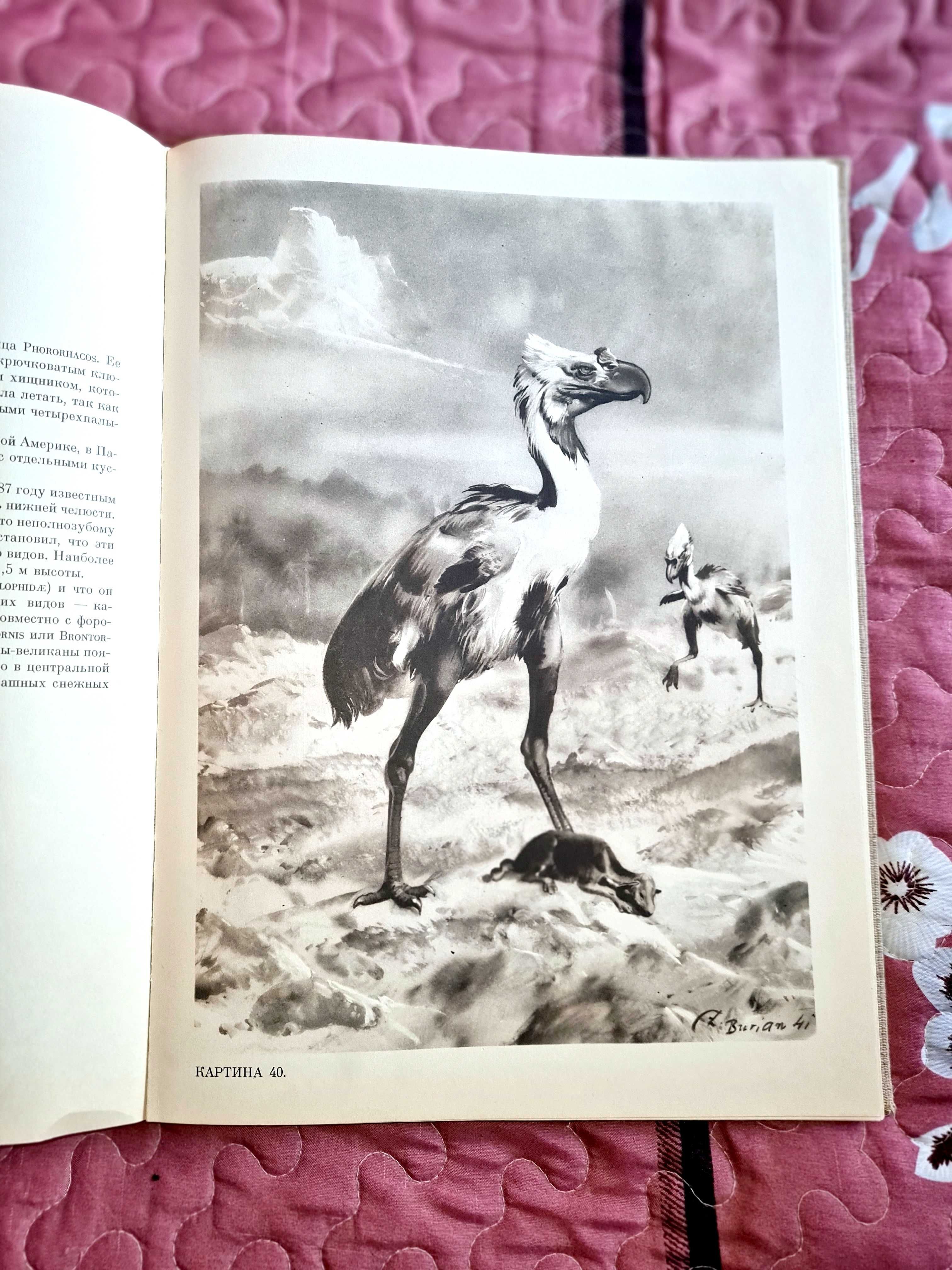 Продам старую книгу 1963 года о доисторическом животном мире .