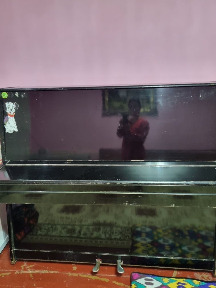 Pionino musiqa asbobi
