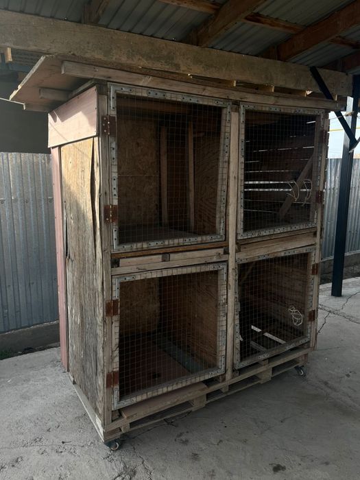 Продам клетку для даканов 4 в 1