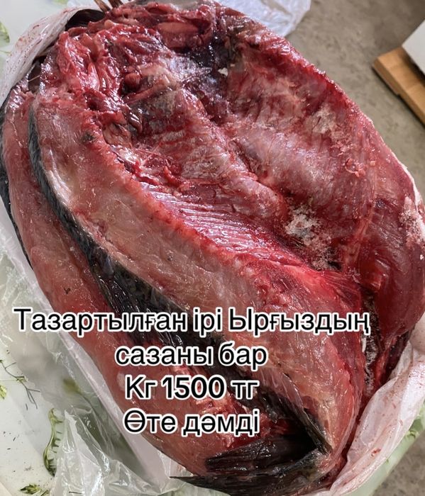 Ырғыздың тазартылған сазаны ірі