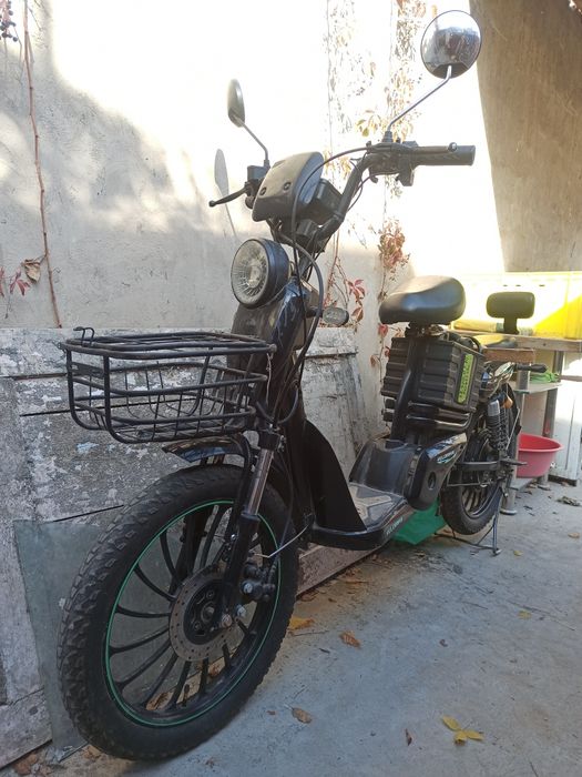 Velik sotiladi narxi 1 milion 700. ming