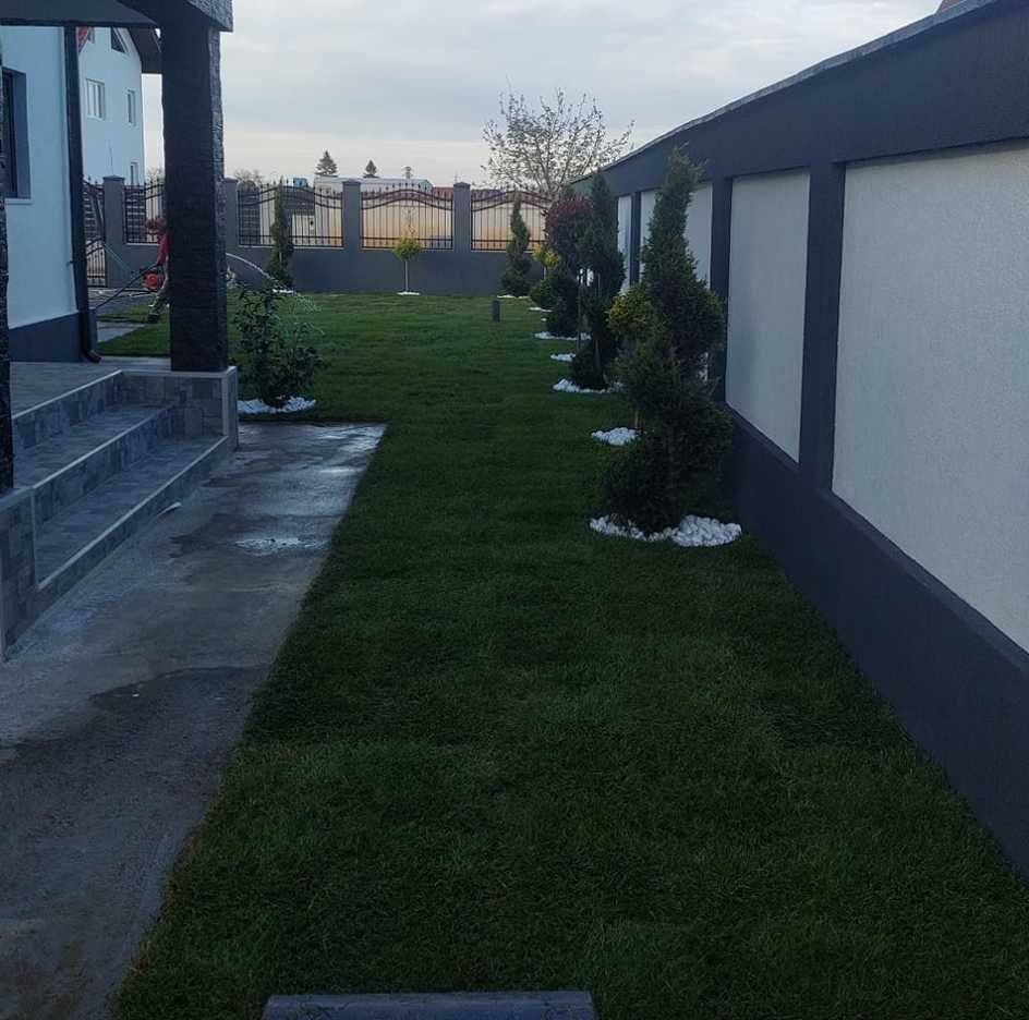 Gazon Natural pentru Amenajări Peisagistice
