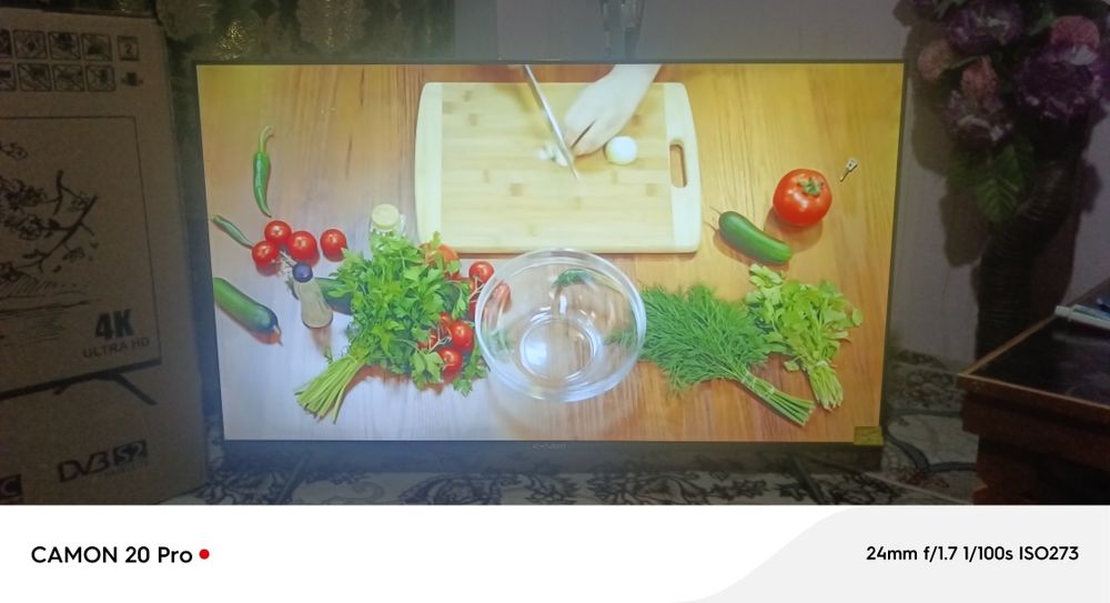 Shivakiy telivizir
