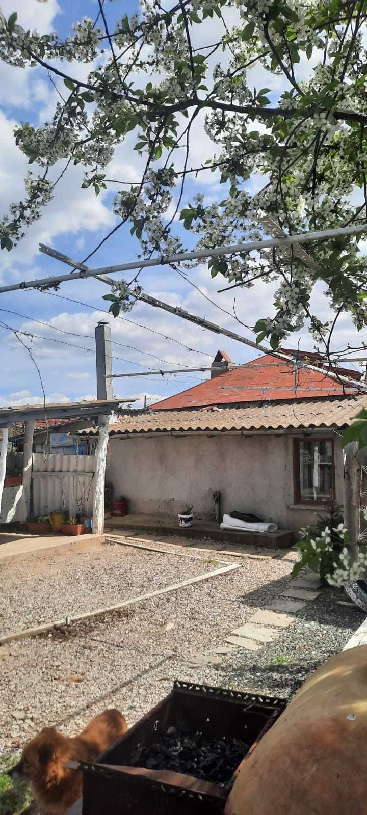 Casa si teren intravilan in Tulcea , Valea Nucarilor