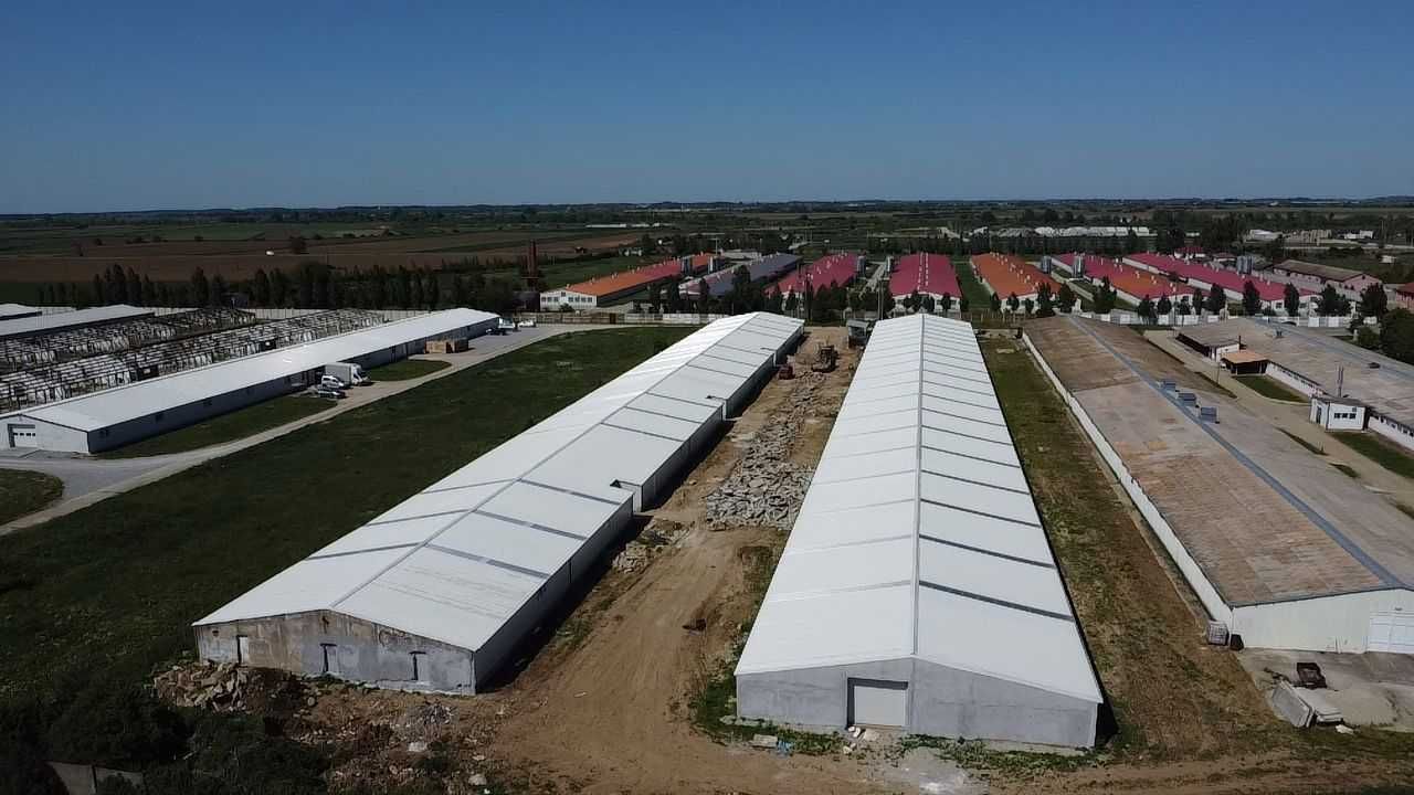 Hala industriala de vanzare in Palota