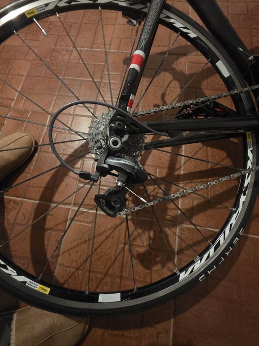 Cursiera full carbon