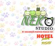 Cazare animale de companie - Pet hotel pisici