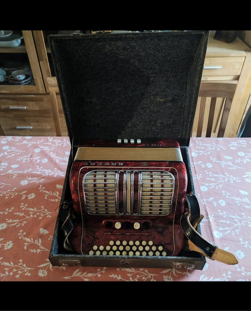 Acordeon in stare perfecta