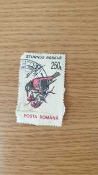 Timbru romanesc - STURNUS ROSEUS 250 L (Posta Romana - 1993)