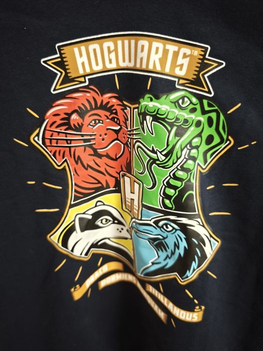 Harry Potter hoodie, licenced Wizarding World
