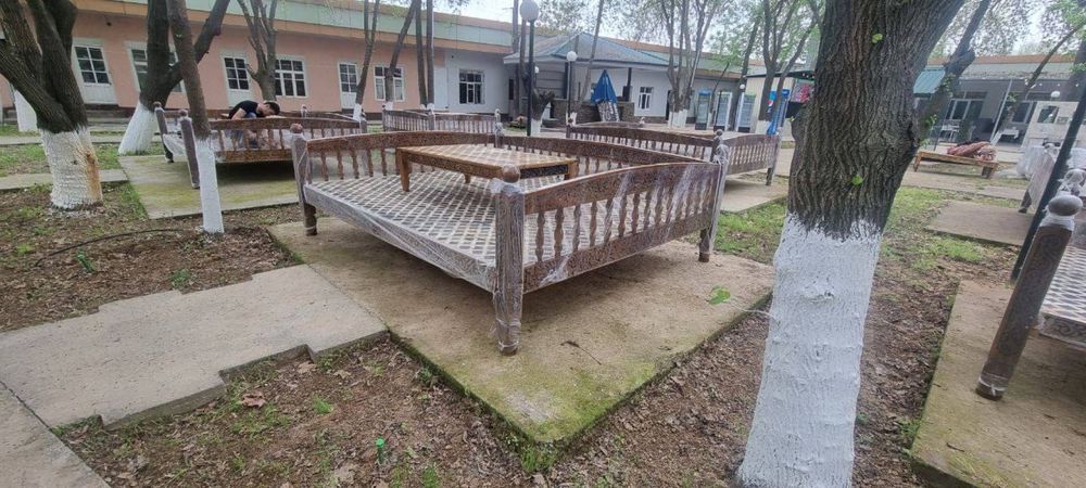 Tapchan suri besetkalar aksiyada 30-iyungacha